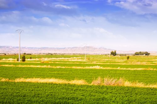 Agricultural / Farmland
